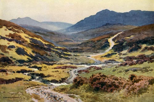 A Moorland Track