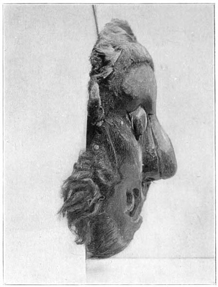 Fig. 2. Demon Mask. 