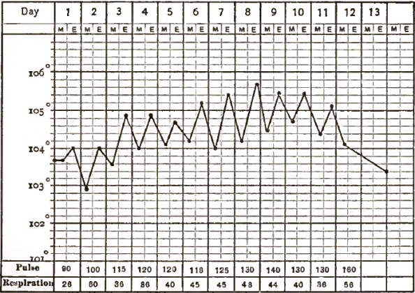 Croupous Pneumonia in the Adult