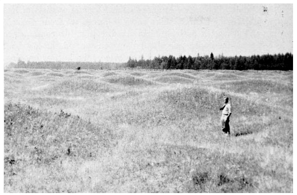 Fig. 96.
