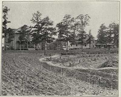 THE COLONY BUILDINGS