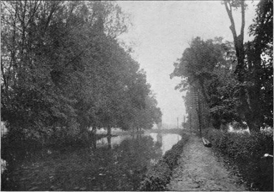 The Grand Junction Canal near Hemel Hempstead