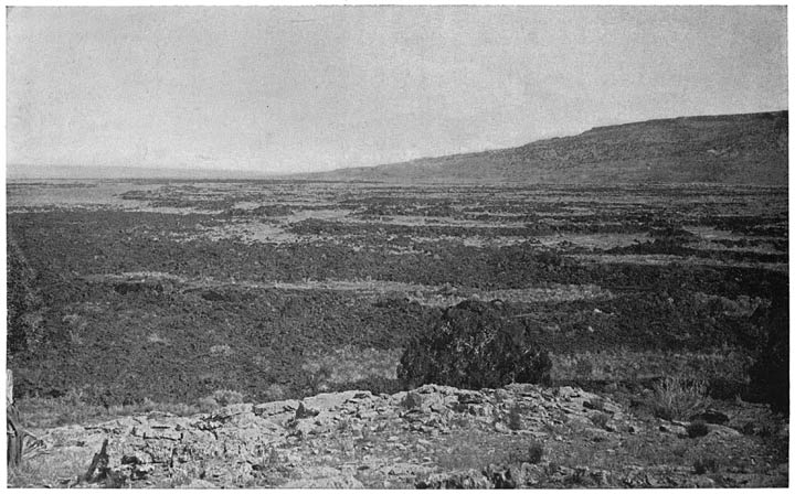 Plate VI. LAVA FLOW IN THE VALLEY OF THE SAN JOSÉ, NEW MEXICO.129