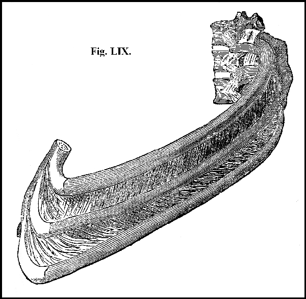 Fig. LIX.