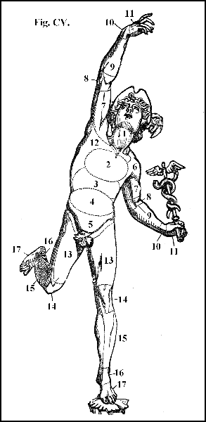 Fig. CV.