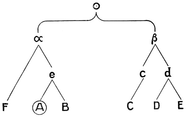 Relations between manuscripts