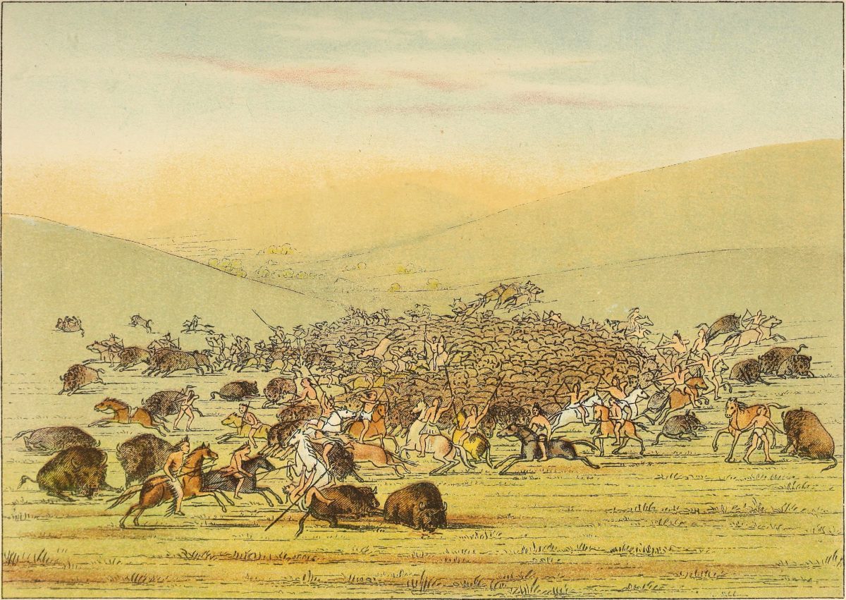 Buffalo hunt