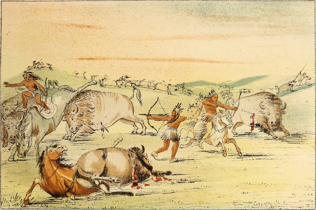 Buffalo hunt