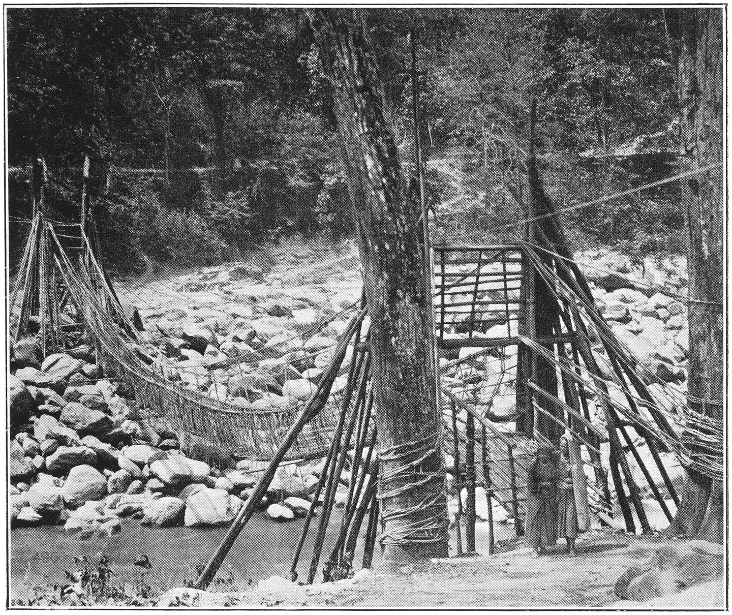 CANE BRIDGE ON THE RUNGIT RIVER.