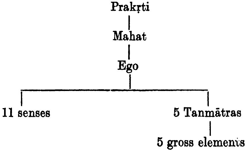 Prakṛti  Mahat  Ego  11 senses 5 Tanmātras  5 gross elements