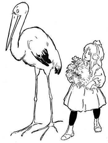 Buddie and the Stork