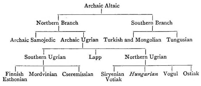 Diagram of language groups