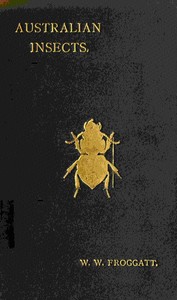 Australian insects, Walter Wilson Froggatt