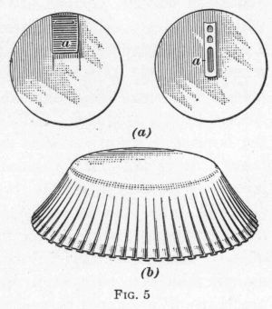 [Illustration: FIG. 5]