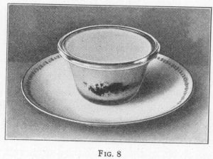 [Illustration: FIG. 8]