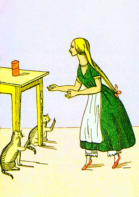 Illustration