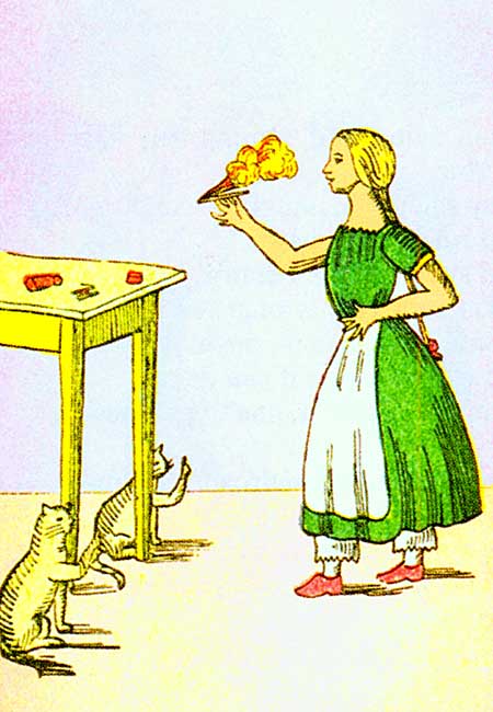 Illustration
