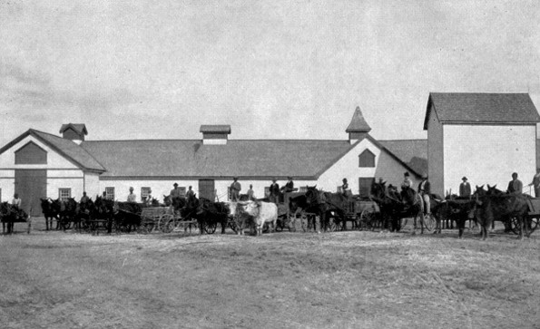 MORNING AT THE BARNS ON THE SCHOOL FARM.

Teams of horses and cattle ready to start for the day's work.