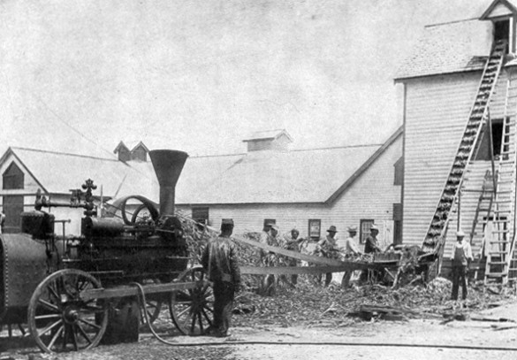 A SILO ON THE FARM.

Students filling it with fodder corn, steam-power being used.