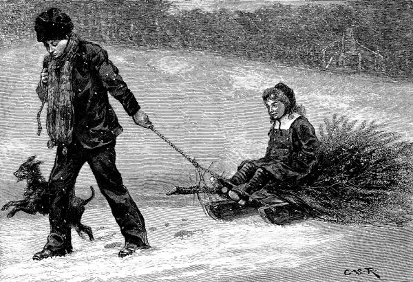 WHAT BECAME OF THE CHRISTMAS TREE.—Drawn by C. S.
Reinhart.