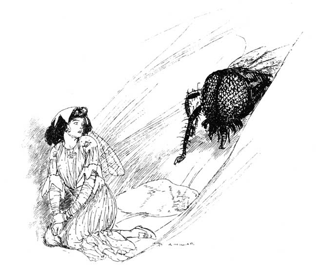 'A black-winged monster, with hundreds and hundreds of
eyes.'—Page 350