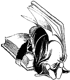 Asleep in the book