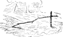 see text