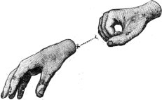 see text