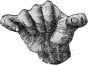 see text