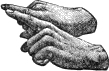 see text