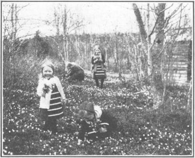 
HAPPY CHILDREN IN THE PROVINCE OF DALECARLIA