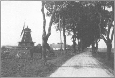 
A COUNTRY SCENE IN SKANE