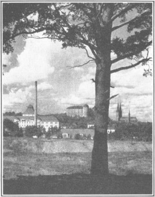 
UPPSALA