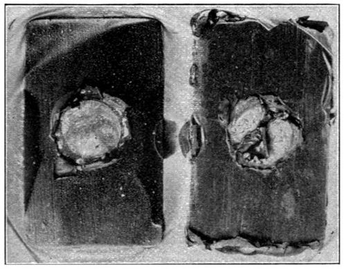 Steel Plates with Stimulative Paints immersed in Ferroxyl Jelly