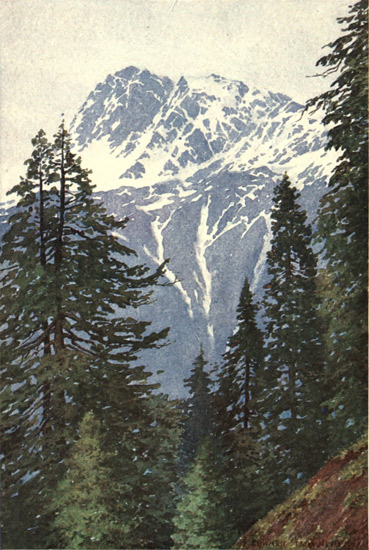 KOTWAL FROM THE FOREST ABOVE KANGAN, SIND VALLEY