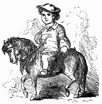 Boy on pony