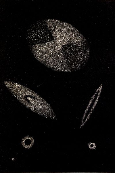 Figure 74.
VARIOUS FORMS OF NEBULÆ.