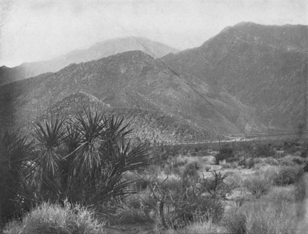 MOUNT SAN JACINTO FROM THE DESERT