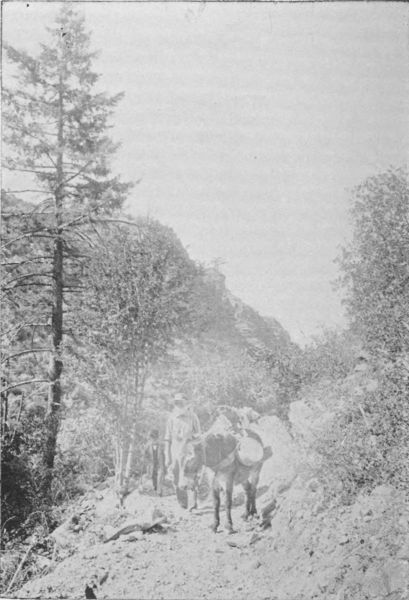 Jason Brown on Mount Lowe Bridle Road, Castle Canyon.