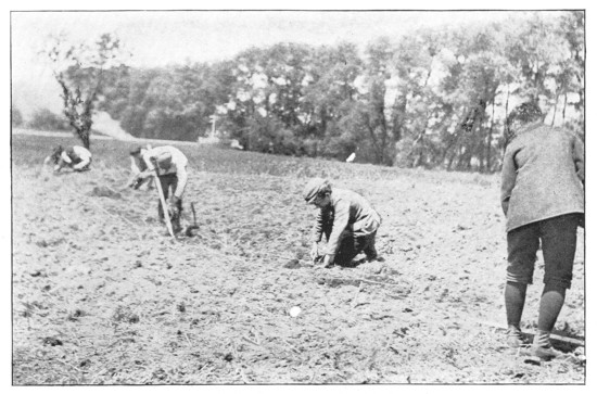 Fig. 366. Making a school-garden in Massachusetts.