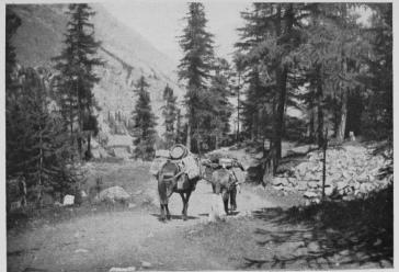 Provisions for a mountain hotel. By Royston Le Blond.

To face p. 152.