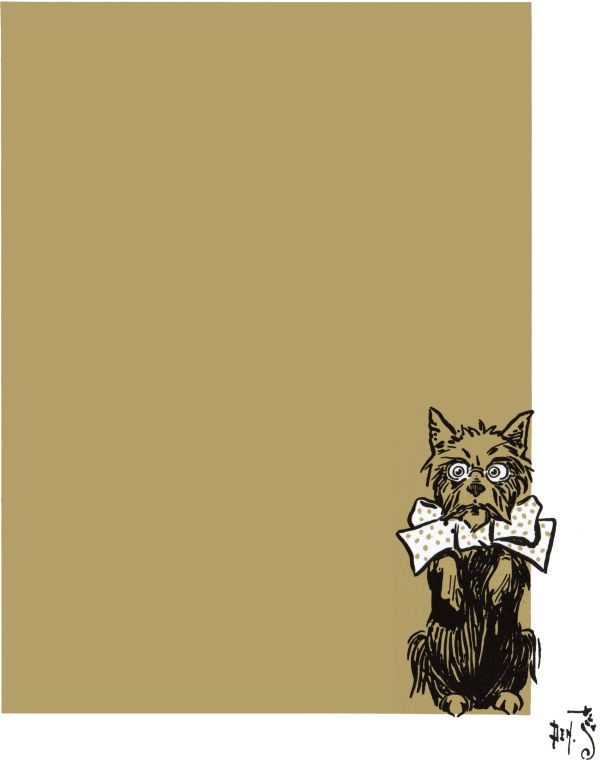 Toto Toto