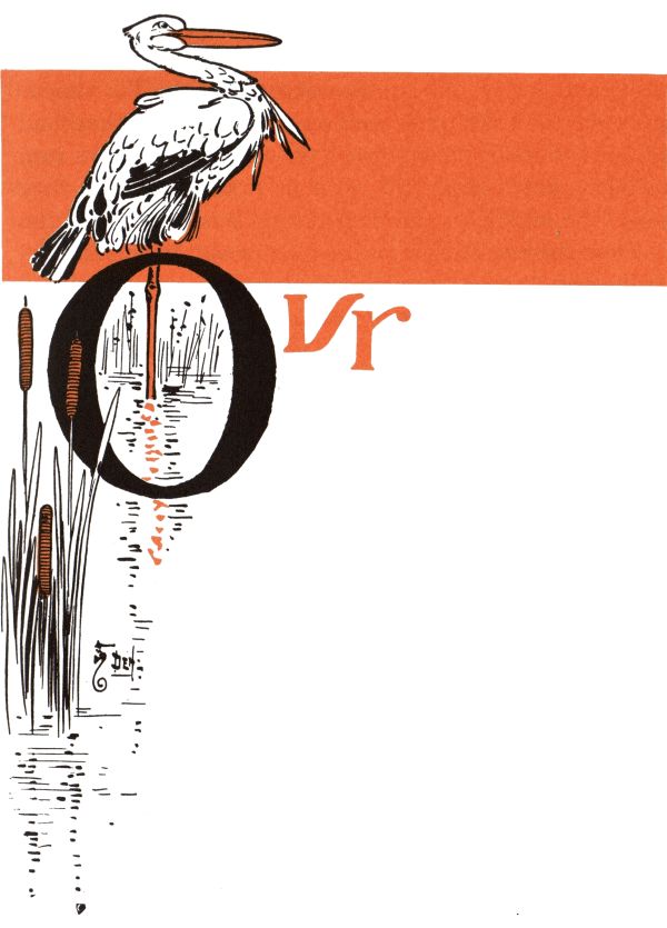 Stork Stork