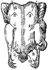 Fig. 88.