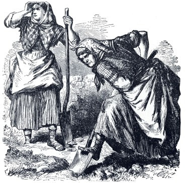 image not available