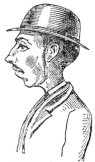 THE PORTRAIT WHICH LED TO LEFROY’s ARREST (p. 12).

(By permission of the “Daily Telegraph.”)