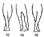 Image not available: 23 24 25

“Assemblé.”

See figure 26.