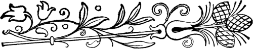 Ilustración de adorno