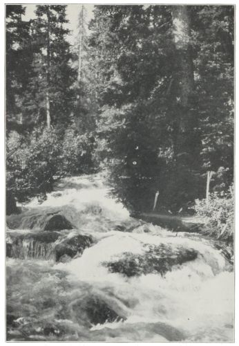 “THE SPLENDID MOUNTAIN STREAM WAS A NEVER ENDING
DELIGHT”