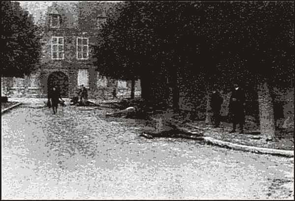 Photograph of the dead horses in the<br>
Place de l’Hotel-de-Ville in 1914.